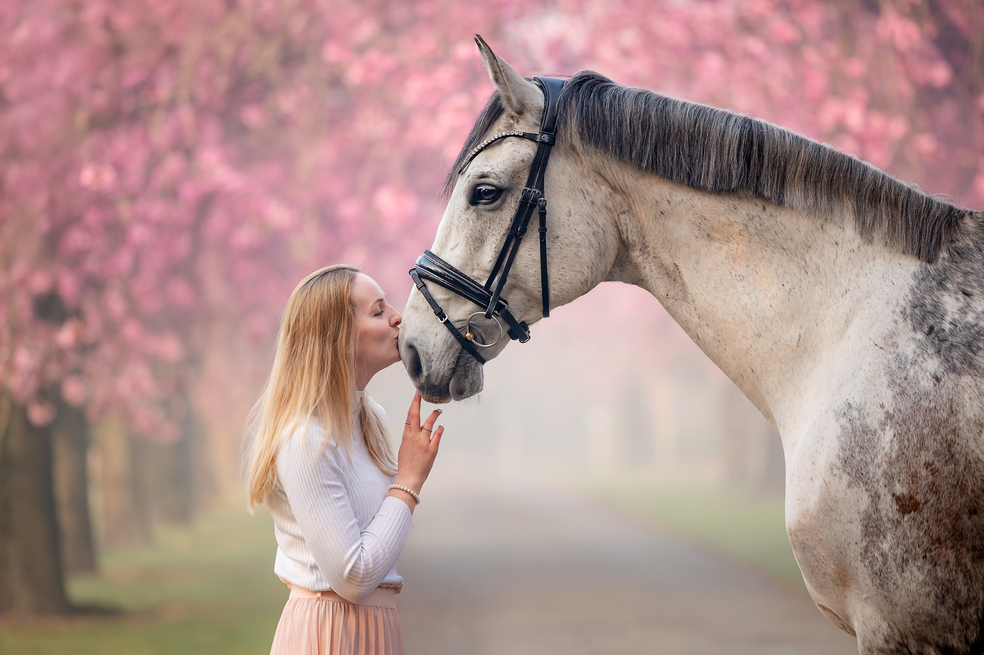 Frau mit hellem Pferd - Schimmel - unter blühenden Kirschbäumen - Kirschblüten Pferdeshooting im Frühling