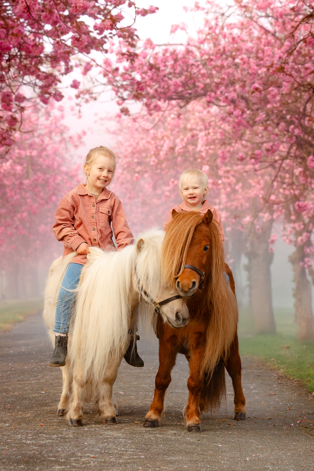Mutter mit zwei Kindern und Pony in Kirschblütenallee - Familien- und Pferdefotografie im Frühling